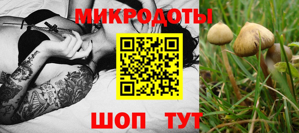 Псилоцибиновые грибы прущие грибы Ульяновск